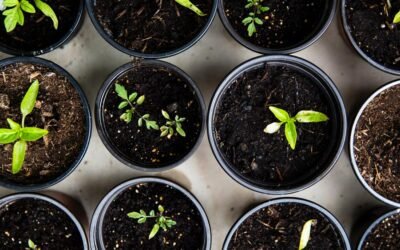 It’s Time To Design Your Dream Outdoor Leaving Space